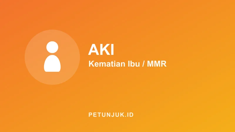 Kalkulator Angka Kematian Ibu (AKI)