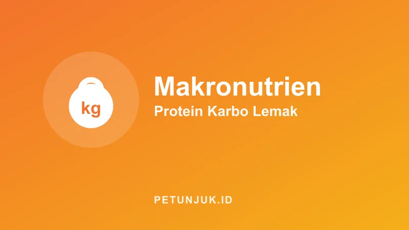Kalkulator Makronutrien (Protein, Karbo, Lemak)